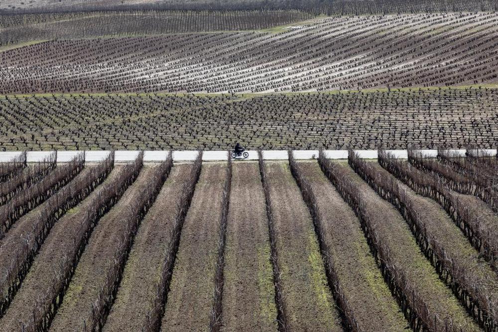Segunda parte de La mamá de la diseñadora | De Blas Maeso Ruiz-Escribano. En Entrevisttas.com