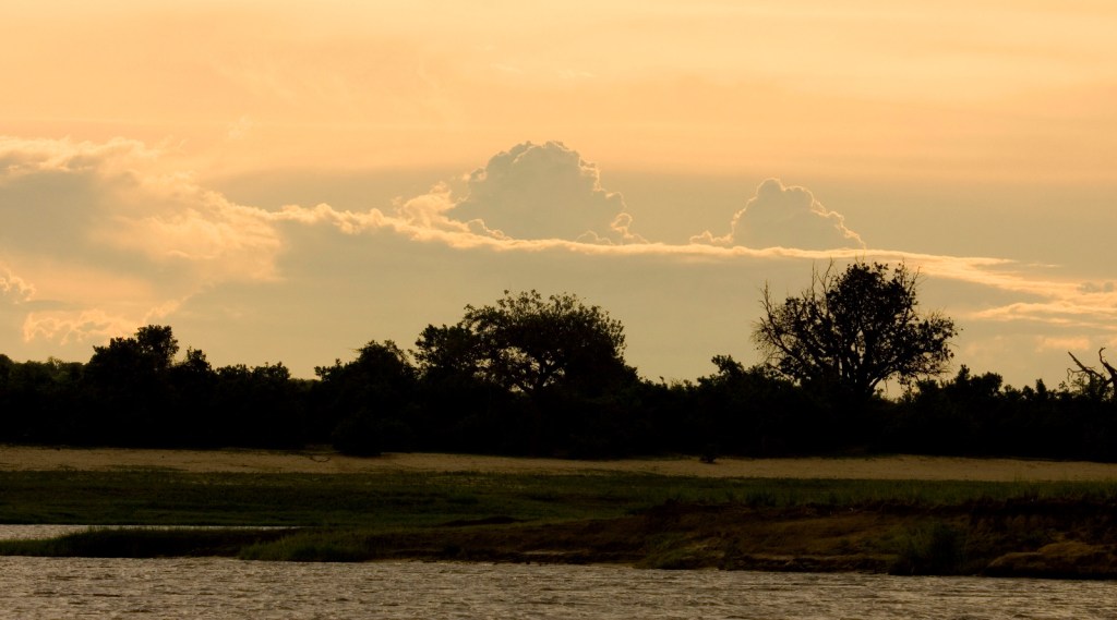 La mamá de la diseñadora: Alterio. | Por Blas Maeso Ruiz-Escribano