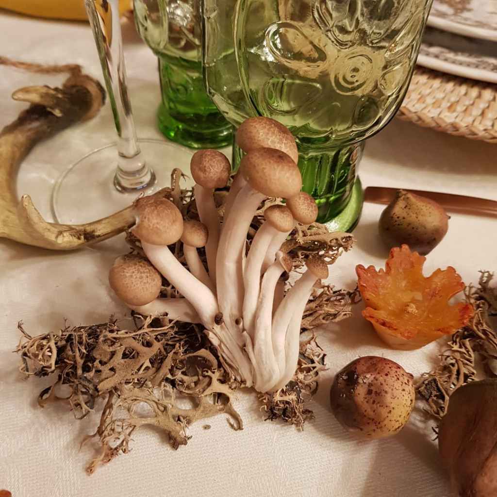 Algunos ejemplos de detalles de la mesa nos permiten realzarla y embellecerla