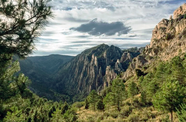 Sobre las contaminaciones aparentes | Por Enrique Ortega Gironés, nuestro suspicaz geólogo. En Entrevisttas.com